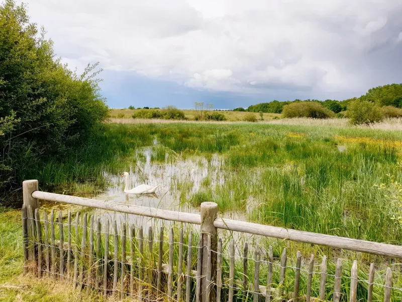 Restauration et création de mares