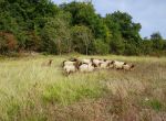 LA PRESERVATION D’UN ESPACE NATUREL
