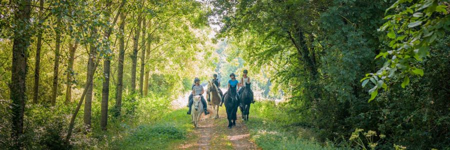 _Réalisation_sentier_randonnee_chevaux_ADT_Touraine_Jean-Christophe_Coutand