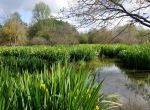 LA PROTECTION DE L’EAU ET DES MILIEUX AQUATIQUES