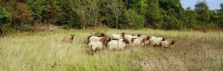 LA PRESERVATION D’UN ESPACE NATUREL