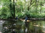 CARACTÉRISATION DE L’ÉTAT ÉCOLOGIQUE D’UN COURS D’EAU AVANT/APRÈS TRAVAUX
