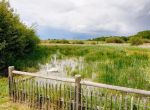 LA RESTAURATION ET LA CREATION DE MARES