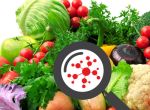 RECHERCHE DE CONTAMINANTS CHIMIQUES EN AGROALIMENTAIRE