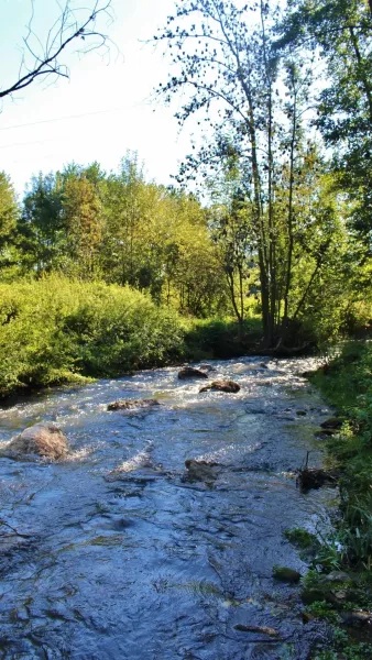 Protection milieu aquatique Choisille