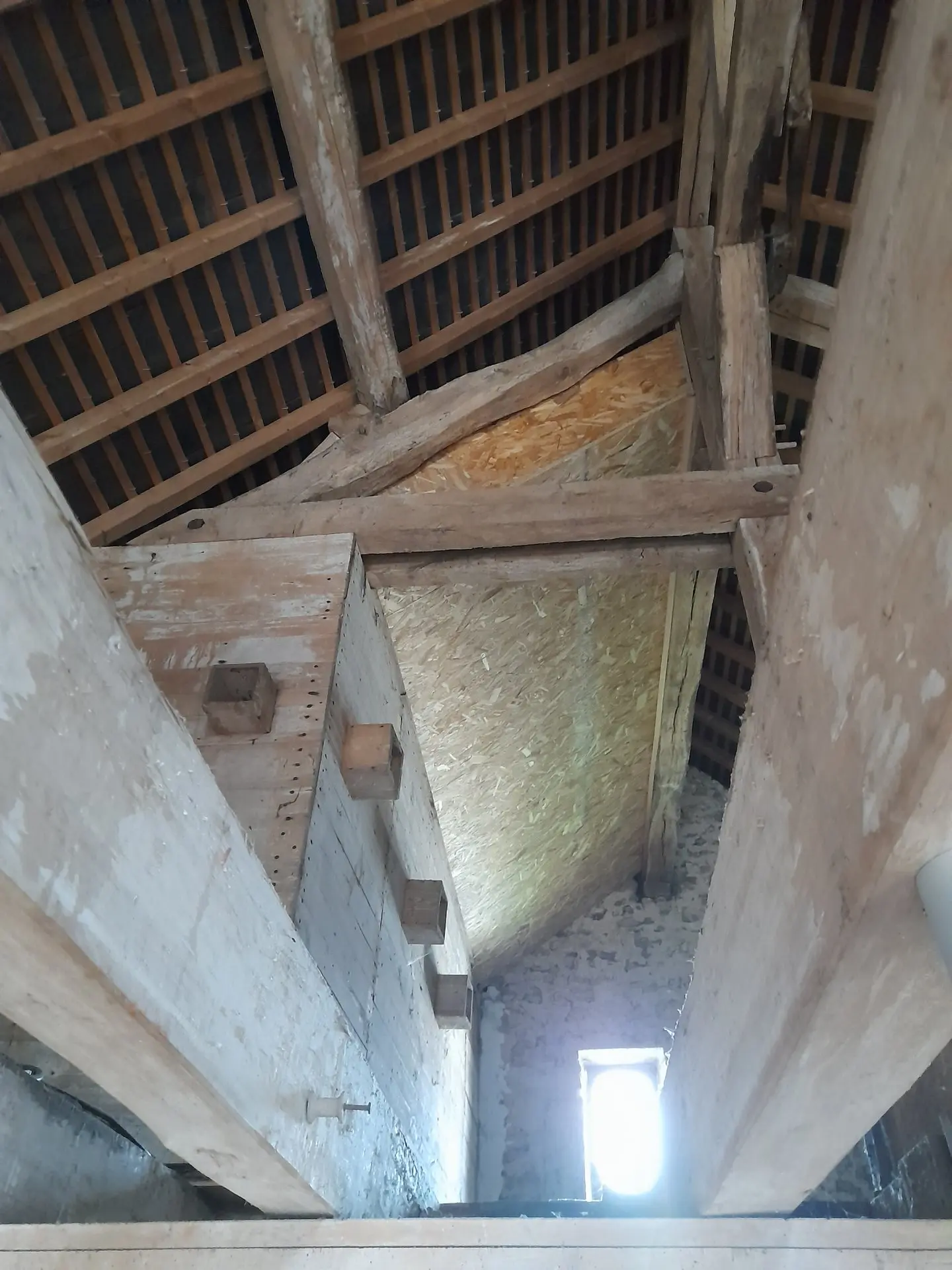 Aménagement de Toiture chauves-souris